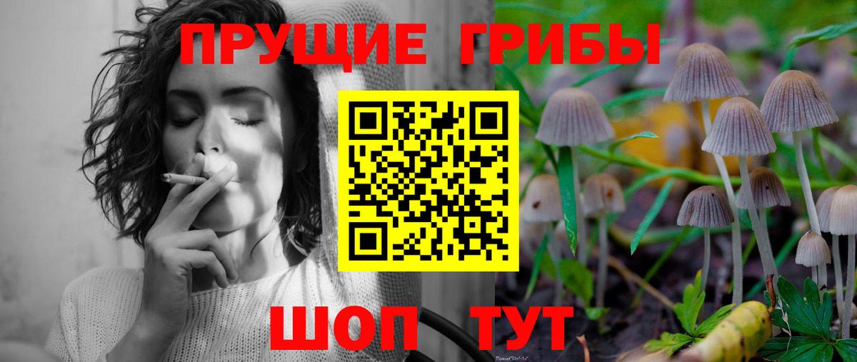 Псилоцибиновые грибы мухоморы  Псилоцибиновые грибы GOLDEN TEACHER  Вход с VPN  Касимов 